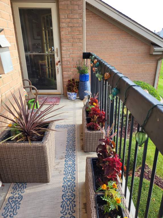 6743 S Pointe Dr Unit 1C, Tinley Park, IL 60477 - view of balcony