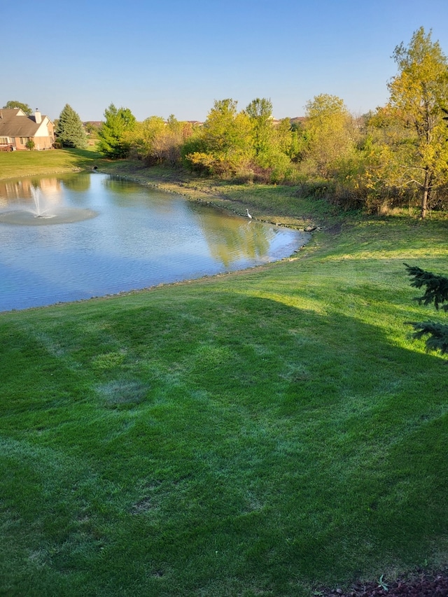 6743 S Pointe Dr Unit 1C, Tinley Park, IL 60477 - water view