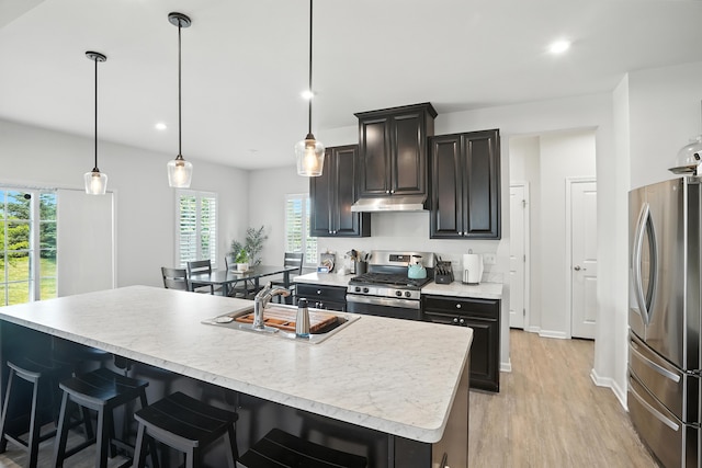 2632 Pecos Cir, Montgomery, IL 60538 - kitchen featuring appliances with stainless steel finishes, under cabinet range hood, light wood finished floors, light countertops, and recessed lighting
