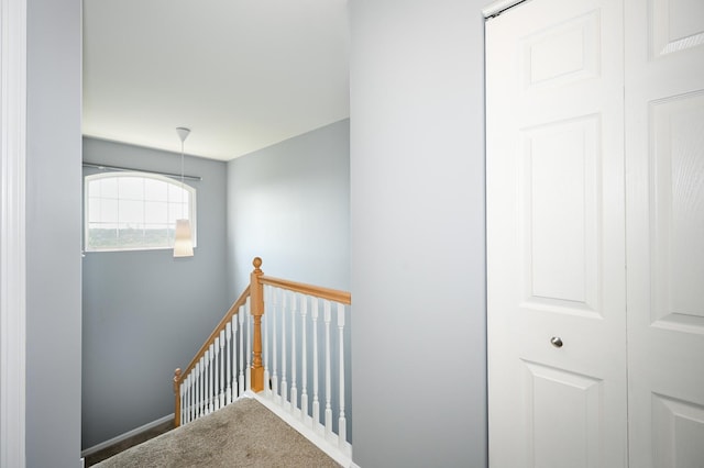 2208 W Concord Ln, Addison, IL 60101 - staircase featuring carpet floors and baseboards