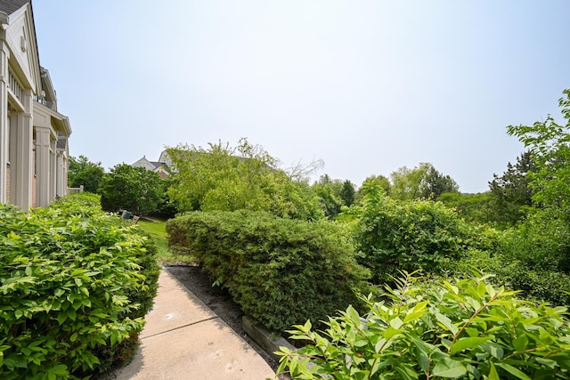 2208 W Concord Ln, Addison, IL 60101 - view of yard