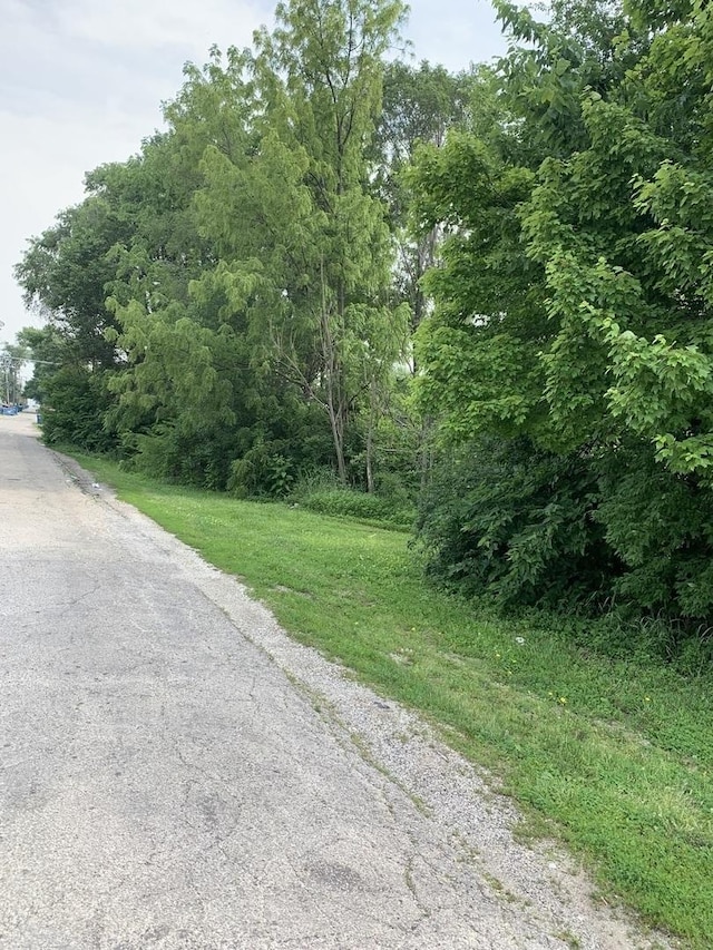 1142 S Washington Ave, Kankakee, IL 60901 - photo 2