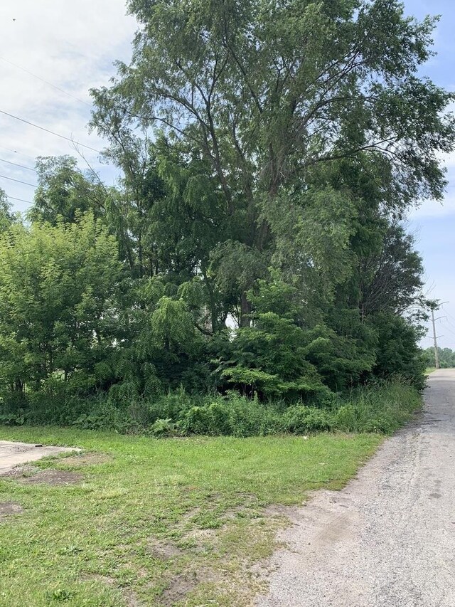 1142 S Washington Ave, Kankakee, IL 60901 - photo 5
