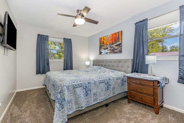 1910 Heather Ln, Joliet, IL 60431 - bedroom featuring carpet and a ceiling fan
