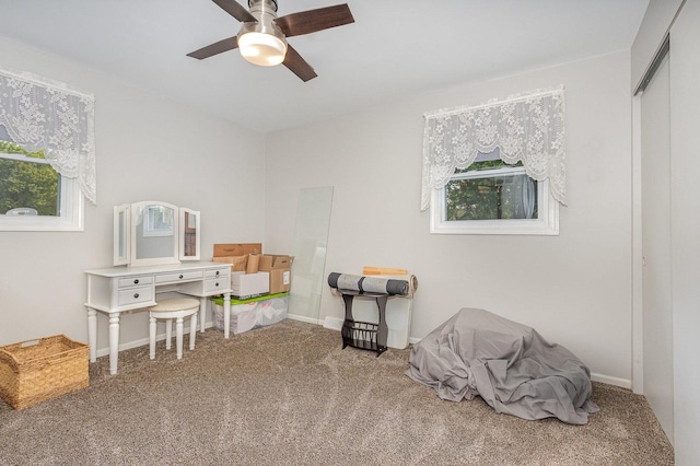1910 Heather Ln, Joliet, IL 60431 - miscellaneous room featuring carpet floors, a ceiling fan, and healthy amount of natural light
