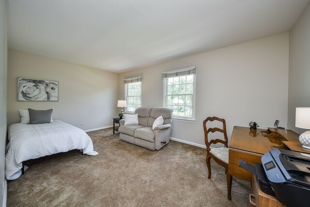 116 W Bailey Rd, Naperville, IL 60565 - carpeted bedroom with baseboards and a desk