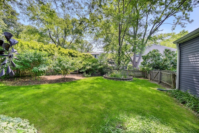 116 W Bailey Rd, Naperville, IL 60565 - view of yard