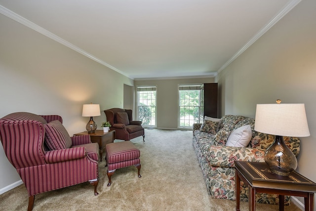 116 W Bailey Rd, Naperville, IL 60565 - carpeted living area with crown molding