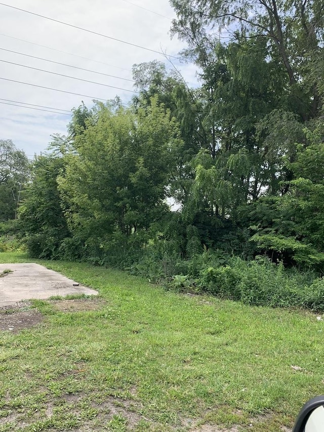 1154 S Washington Ave, Kankakee, IL 60901 - photo 3