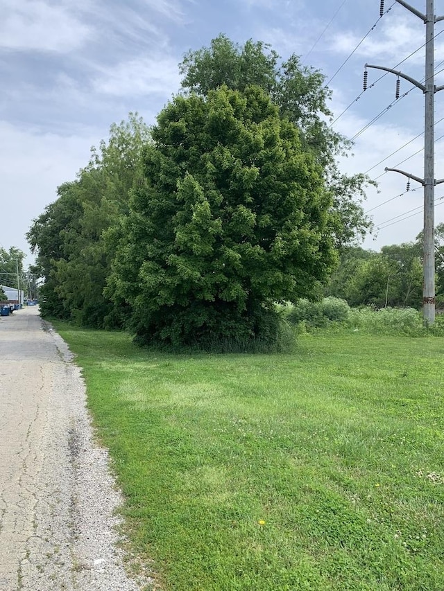 1154 S Washington Ave, Kankakee, IL 60901 - photo 4
