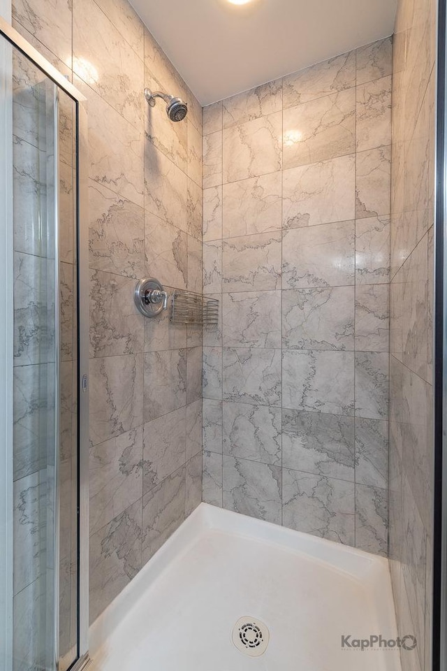 3454 N Ashland Ave Unit 4S, Chicago, IL 60657 - full bath with a shower stall