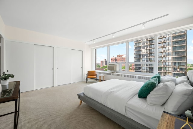 3180 N Lake Shore Dr Unit 8A, Chicago, IL 60657 - bedroom featuring track lighting, radiator, multiple closets, carpet floors, and a city view