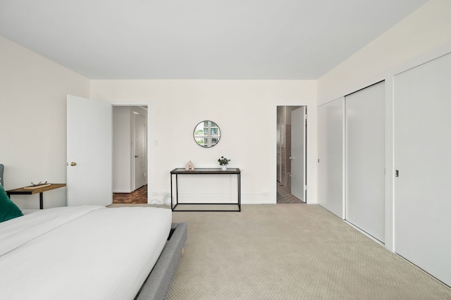 3180 N Lake Shore Dr Unit 8A, Chicago, IL 60657 - carpeted bedroom featuring two closets and connected bathroom