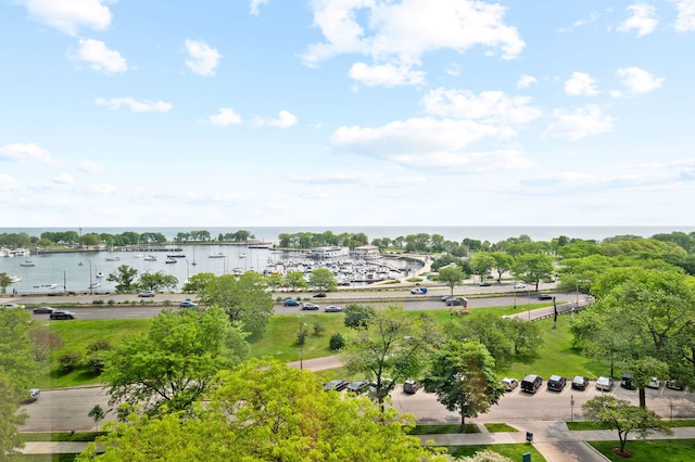 3180 N Lake Shore Dr Unit 8A, Chicago, IL 60657 - bird's eye view of a large body of water