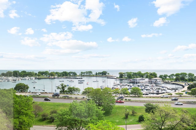 3180 N Lake Shore Dr Unit 8A, Chicago, IL 60657 - water view featuring a marina