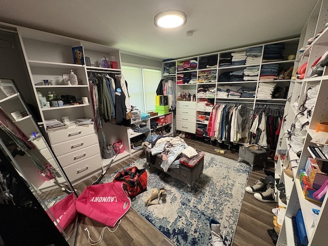 409 W 15th St, Chicago Heights, IL 60411 - walk in closet featuring wood finished floors