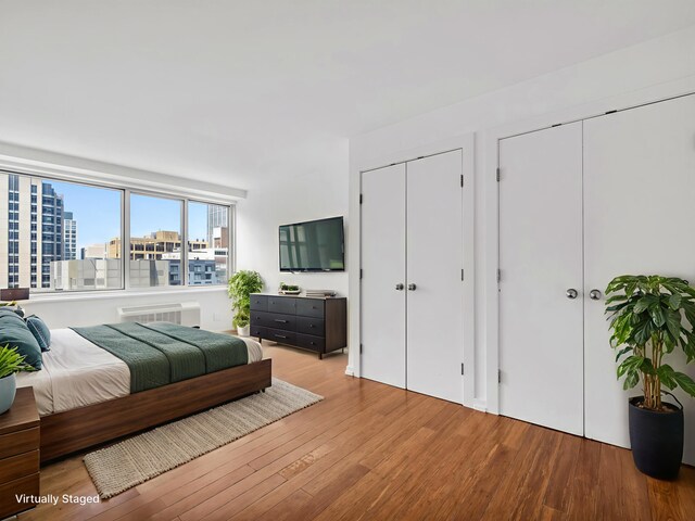 211 E Ohio St Unit 2707, Chicago, IL 60611 - bedroom featuring multiple closets, wood finished floors, and a city view