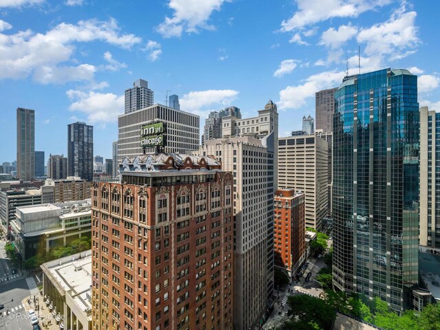 211 E Ohio St Unit 2707, Chicago, IL 60611 - skyline view