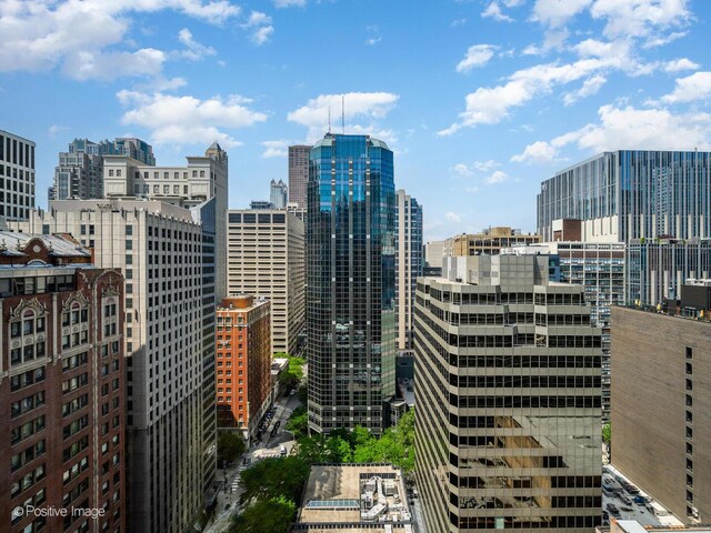211 E Ohio St Unit 2707, Chicago, IL 60611 - city view