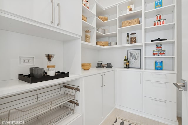 128 S Green St Unit 5Ab, Chicago, IL 60607 - view of storage area