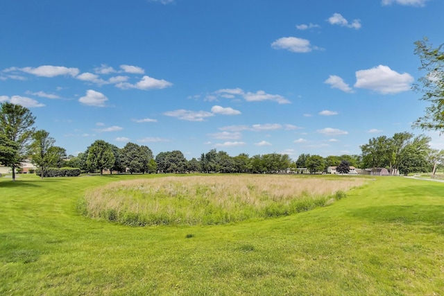 738 Hapsfield Ln Unit 7A2, Buffalo Grove, IL 60089 - view of undeveloped land