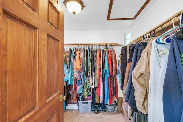 9101 US Highway 36, Metcalf, IL 61940 - spacious closet featuring carpet floors