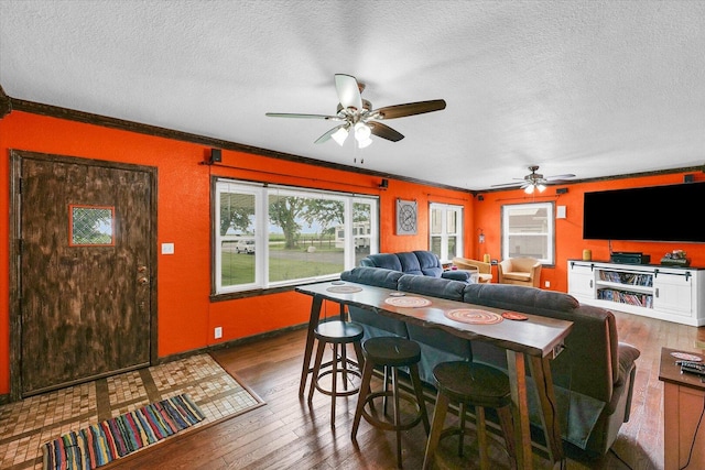 9101 US Highway 36, Metcalf, IL 61940 - living area with a ceiling fan, hardwood / wood-style floors, a textured ceiling, and ornamental molding