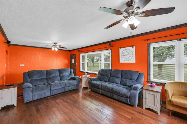 9101 US Highway 36, Metcalf, IL 61940 - living room with ornamental molding, ceiling fan, healthy amount of natural light, hardwood / wood-style floors, and a textured ceiling