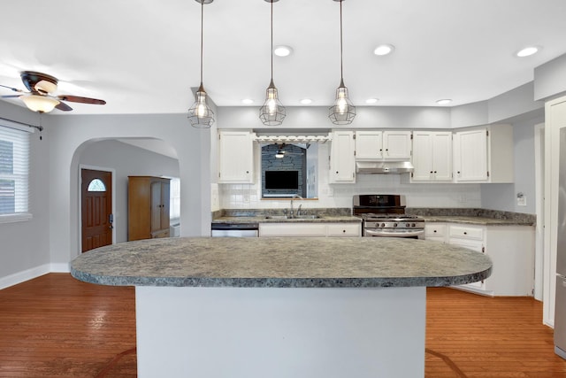 717 Bittersweet Ln, New Lenox, IL 60451 - kitchen with under cabinet range hood, stainless steel appliances, backsplash, white cabinetry, and ceiling fan
