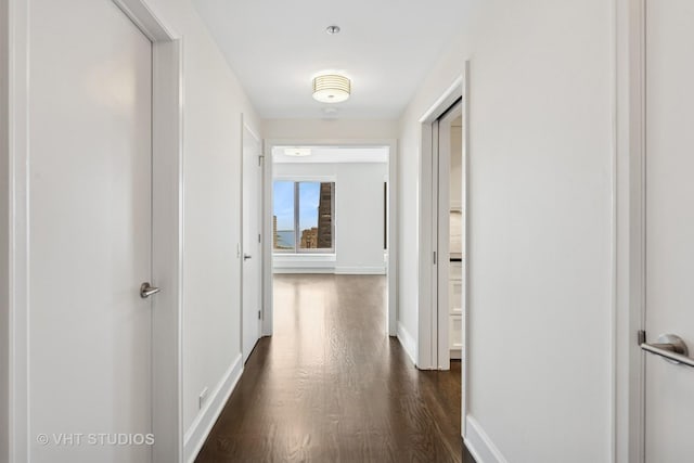 161 E Chicago Ave Unit 40G, Chicago, IL 60611 - corridor with dark wood finished floors and baseboards