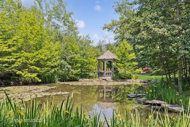 1310 Gavin Ct, Lake Forest, IL 60045 - view of community with a gazebo