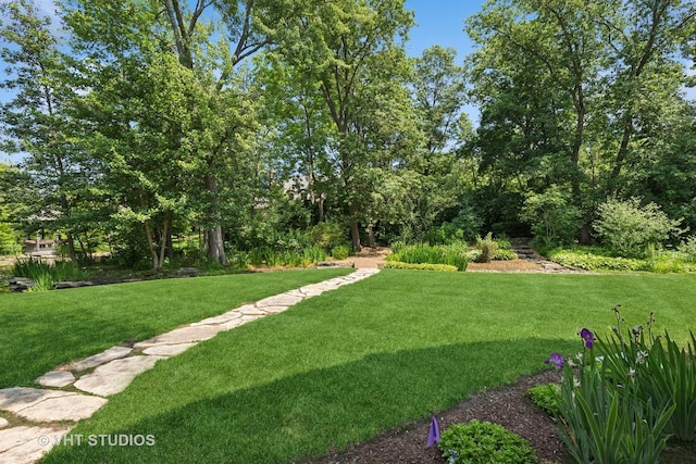 1310 Gavin Ct, Lake Forest, IL 60045 - view of green lawn