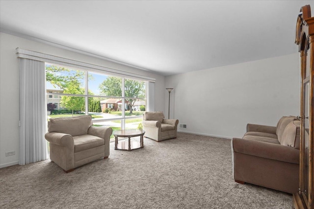 109 N Home Ave, Park Ridge, IL 60068 - living room with plenty of natural light and carpet floors