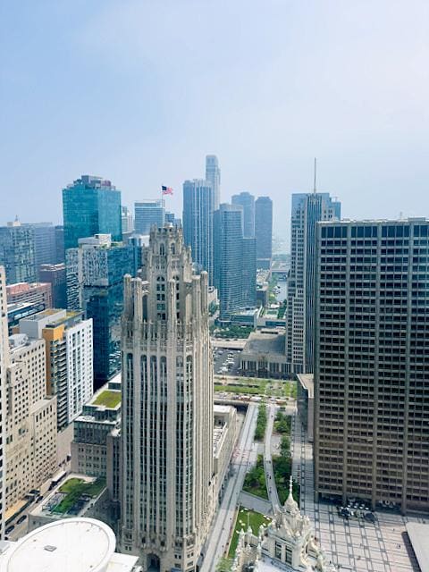 405 N Wabash Ave Unit 5109, Chicago, IL 60611 - city view