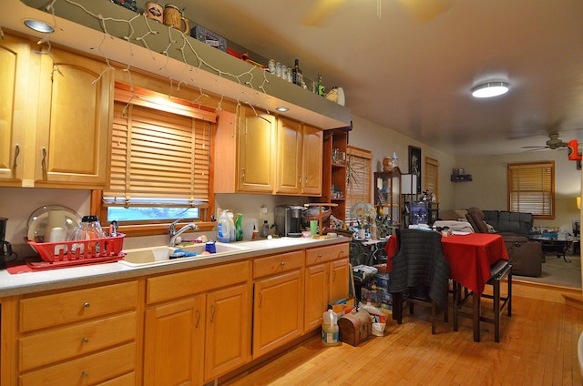 1014 Walnut St, Ottawa, IL 61350 - kitchen with ceiling fan, light wood finished floors, light countertops, open floor plan, and open shelves