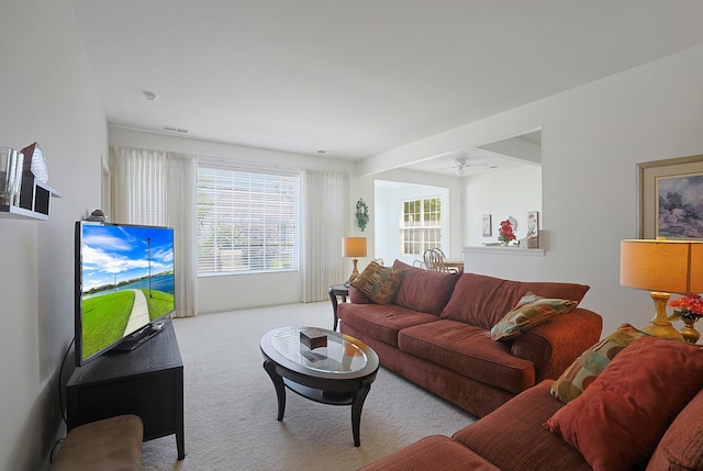 11768 Chatfield Xing, Huntley, IL 60142 - living room featuring carpet