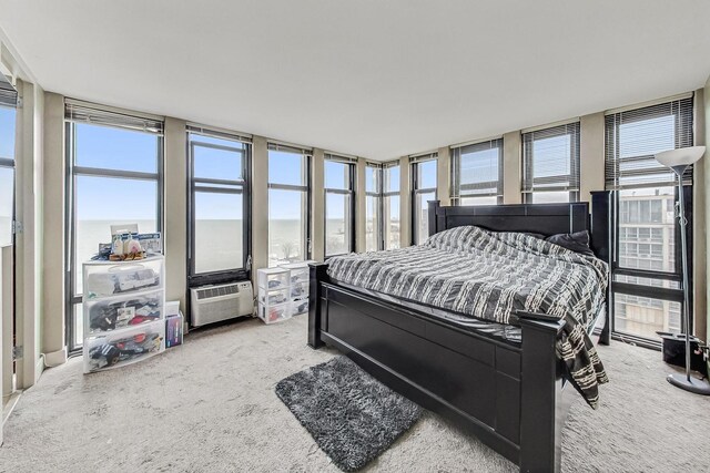 6700 S S Shore Dr Unit 17B, Chicago, IL 60649 - bedroom featuring carpet