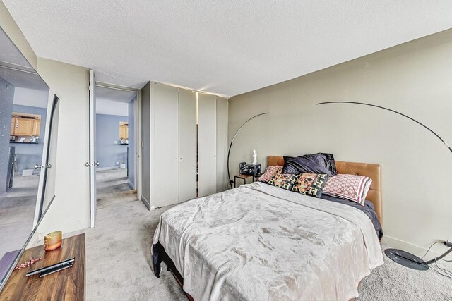 6700 S S Shore Dr Unit 17B, Chicago, IL 60649 - bedroom featuring light carpet, a textured ceiling, and a closet