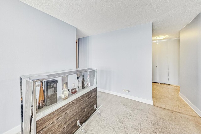 6700 S S Shore Dr Unit 17B, Chicago, IL 60649 - hall featuring carpet flooring and a textured ceiling