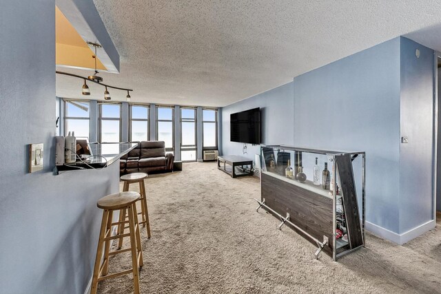 6700 S S Shore Dr Unit 17B, Chicago, IL 60649 - carpeted living room featuring a textured ceiling and rail lighting