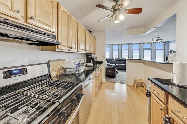 6700 S S Shore Dr Unit 17B, Chicago, IL 60649 - kitchen with appliances with stainless steel finishes, light brown cabinetry, under cabinet range hood, and ceiling fan