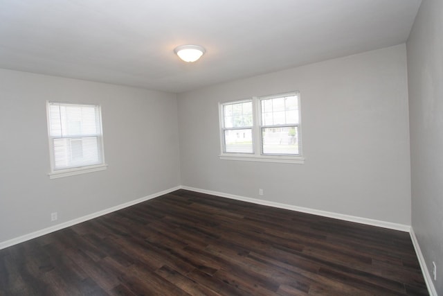 1001 Wilcox St, Joliet, IL 60435 - empty room with plenty of natural light and dark wood-type flooring