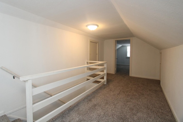 1001 Wilcox St, Joliet, IL 60435 - bonus room with carpet floors and lofted ceiling