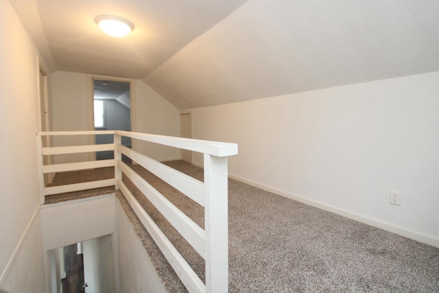 1001 Wilcox St, Joliet, IL 60435 - staircase featuring lofted ceiling and carpet floors