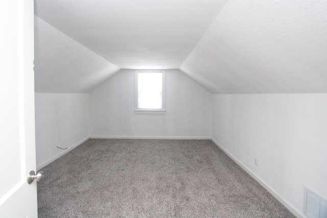 1001 Wilcox St, Joliet, IL 60435 - additional living space featuring carpet flooring and lofted ceiling
