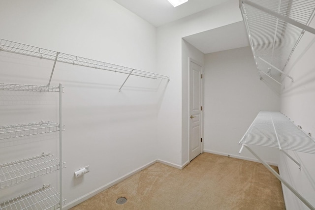 11837 Messiner Dr, Huntley, IL 60142 - spacious closet with light colored carpet