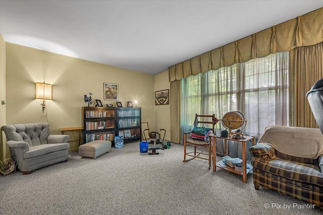 442 Kings Way, Mundelein, IL 60060 - living area featuring carpet
