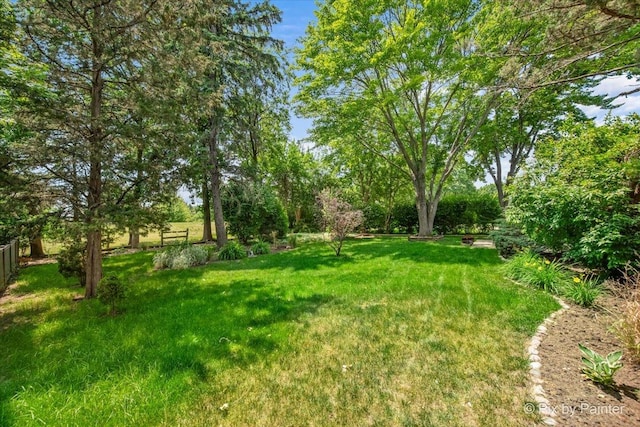 442 Kings Way, Mundelein, IL 60060 - view of yard