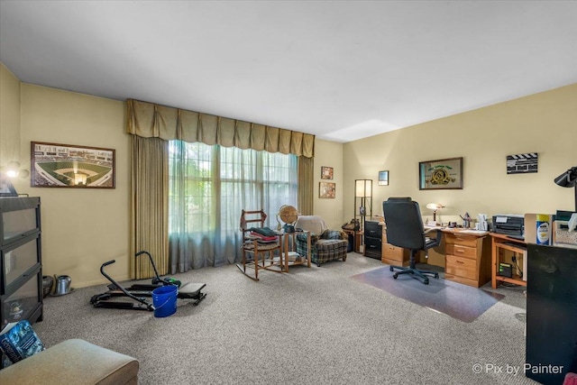 442 Kings Way, Mundelein, IL 60060 - office space with carpet