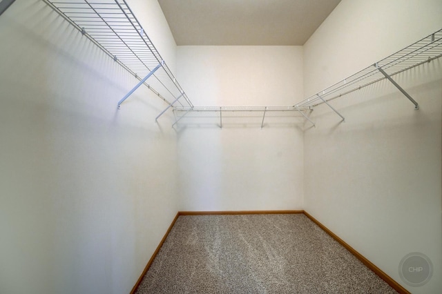 1478 W Flint Ln, Romeoville, IL 60446 - walk in closet with carpet